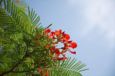 索尼携手拉美歌手演绎全新PS5主题宣传片